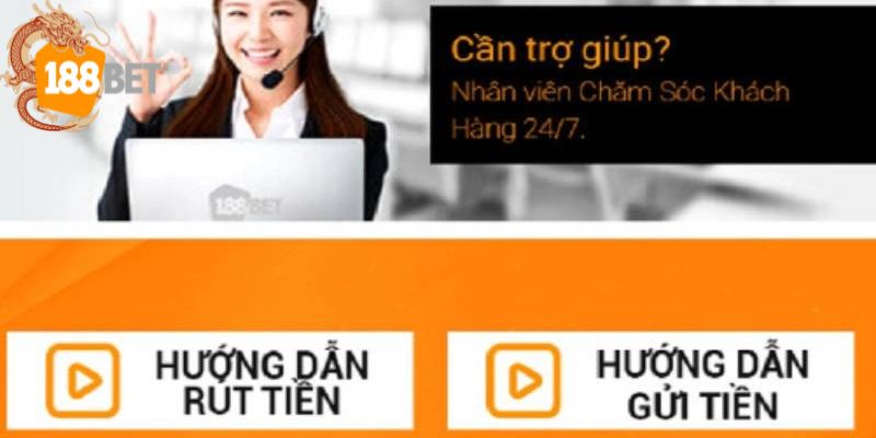 Khi nào bạn có thể liên hệ với đội ngũ nhân viên của chúng tôi